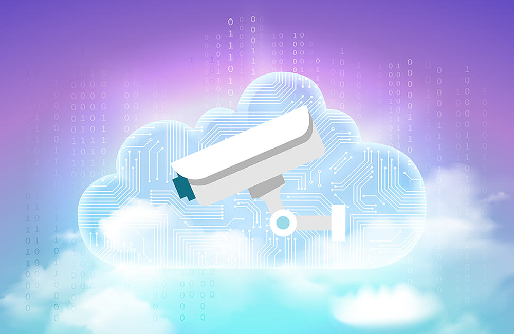 Camara Videovigilancia