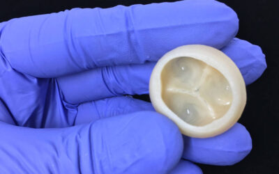 Científicos imprimen en 3d partes del corazón con colágeno